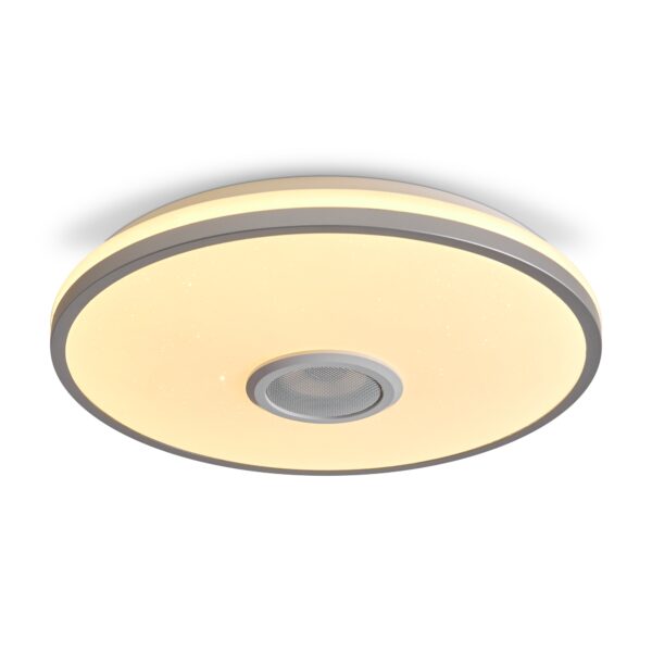 Потолочный светильник Freya FR6226CL-L36W